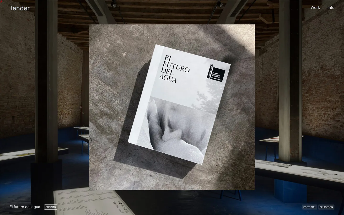 Tender - Main page showcasing the creative duo's identity